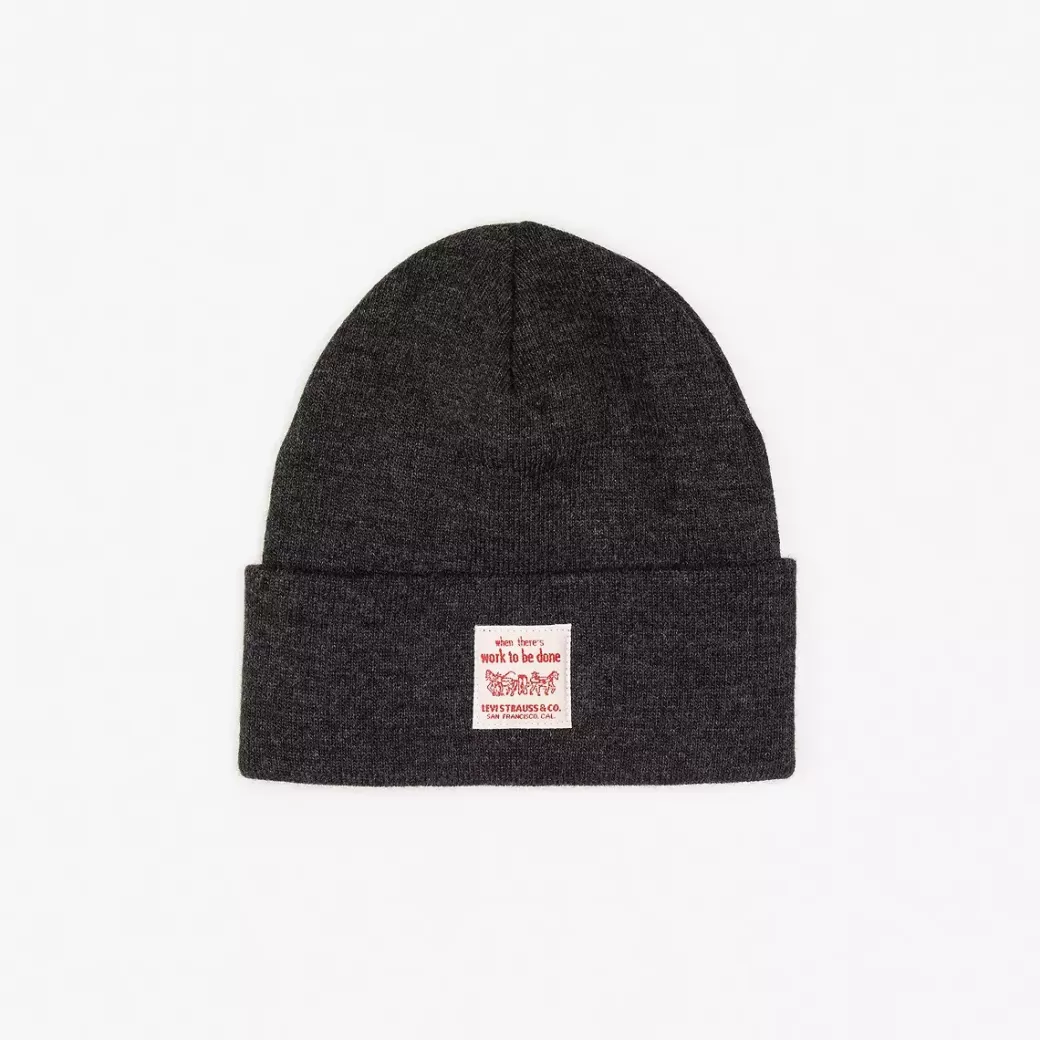 Levi's Arbetarmossa Online
