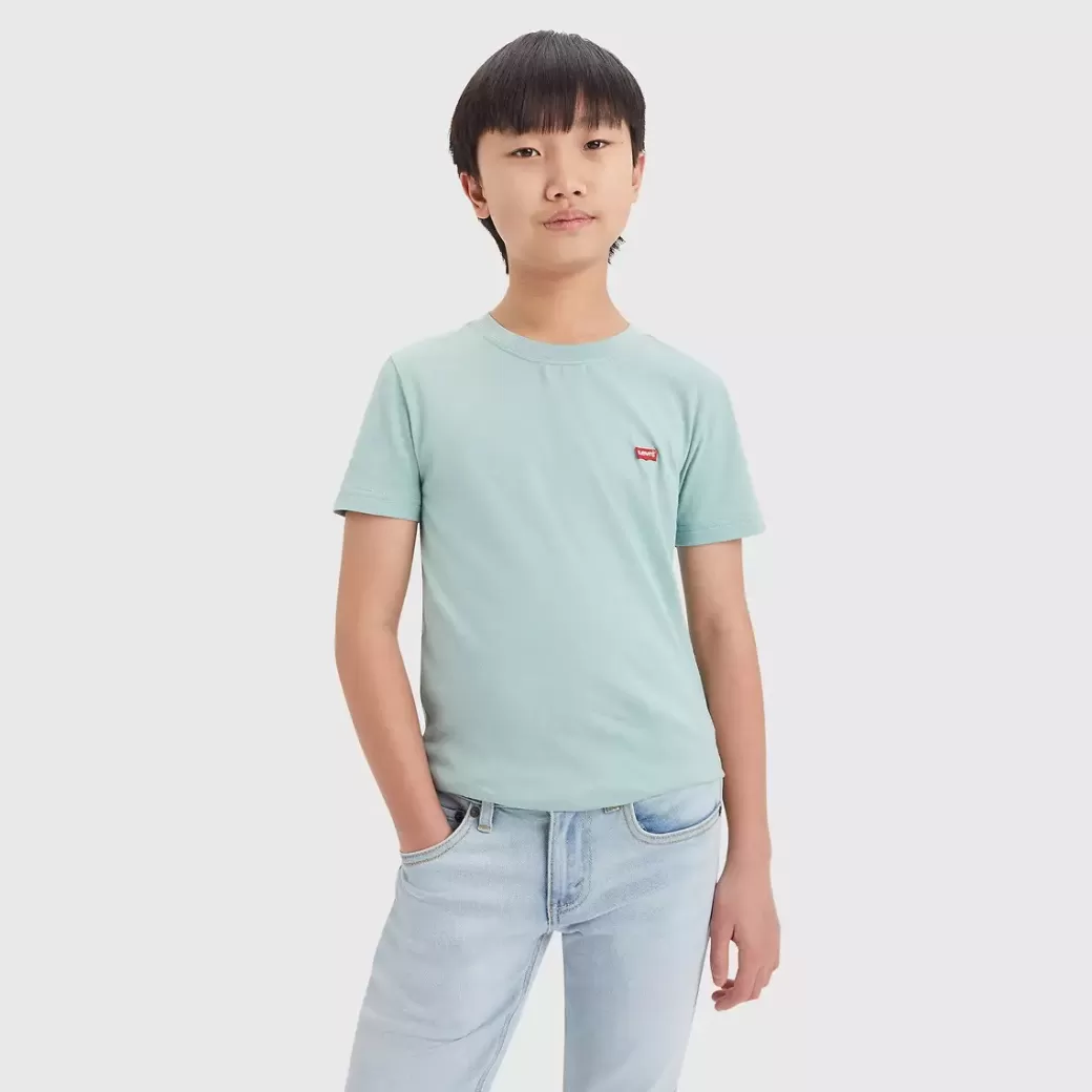 Levi's Batwing Chest Hit T-Shirt For Tonåringar Outlet