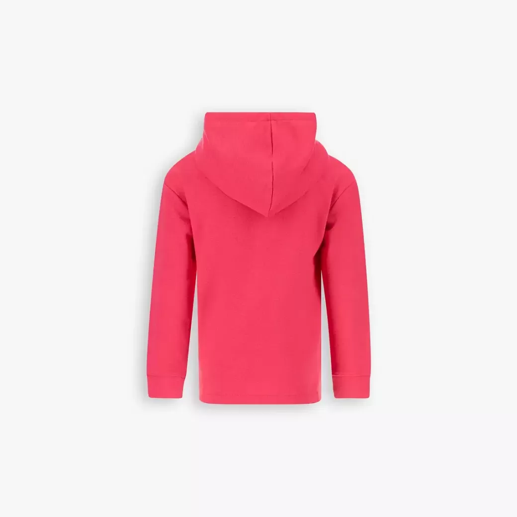 Levi's Batwing Hoodie For Barn Online