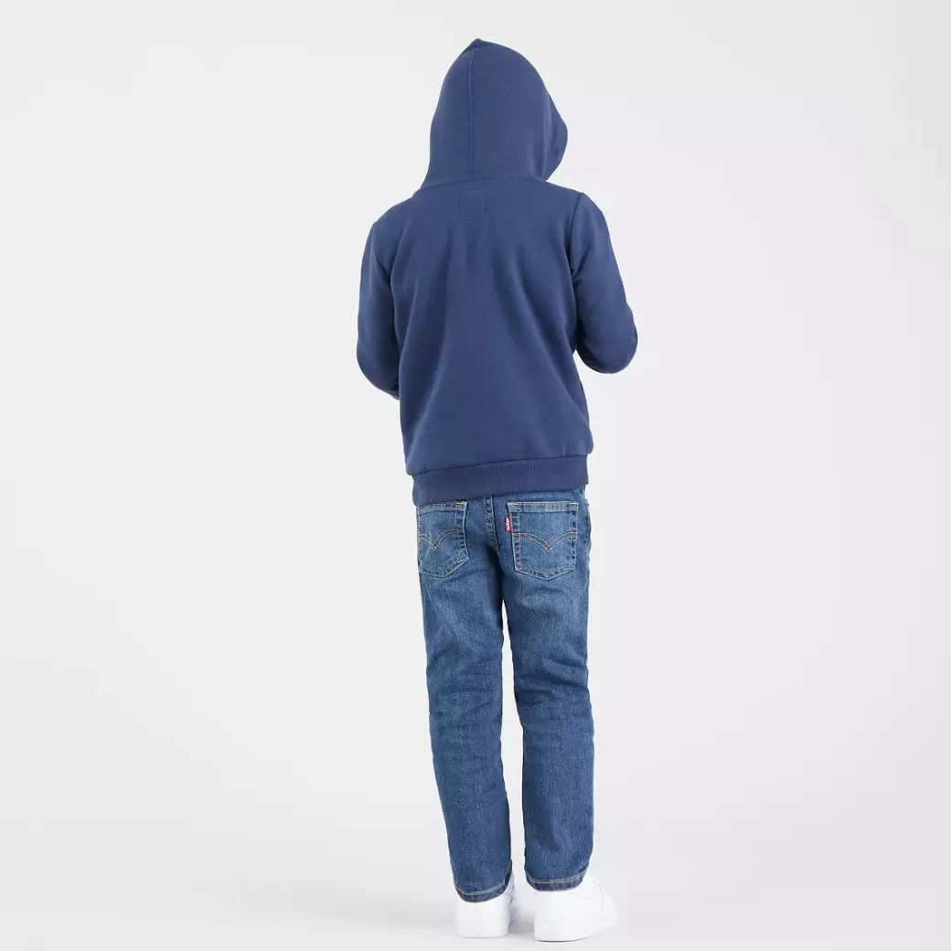 Levi's Batwing Screenprint Huvtroja For Barn Online