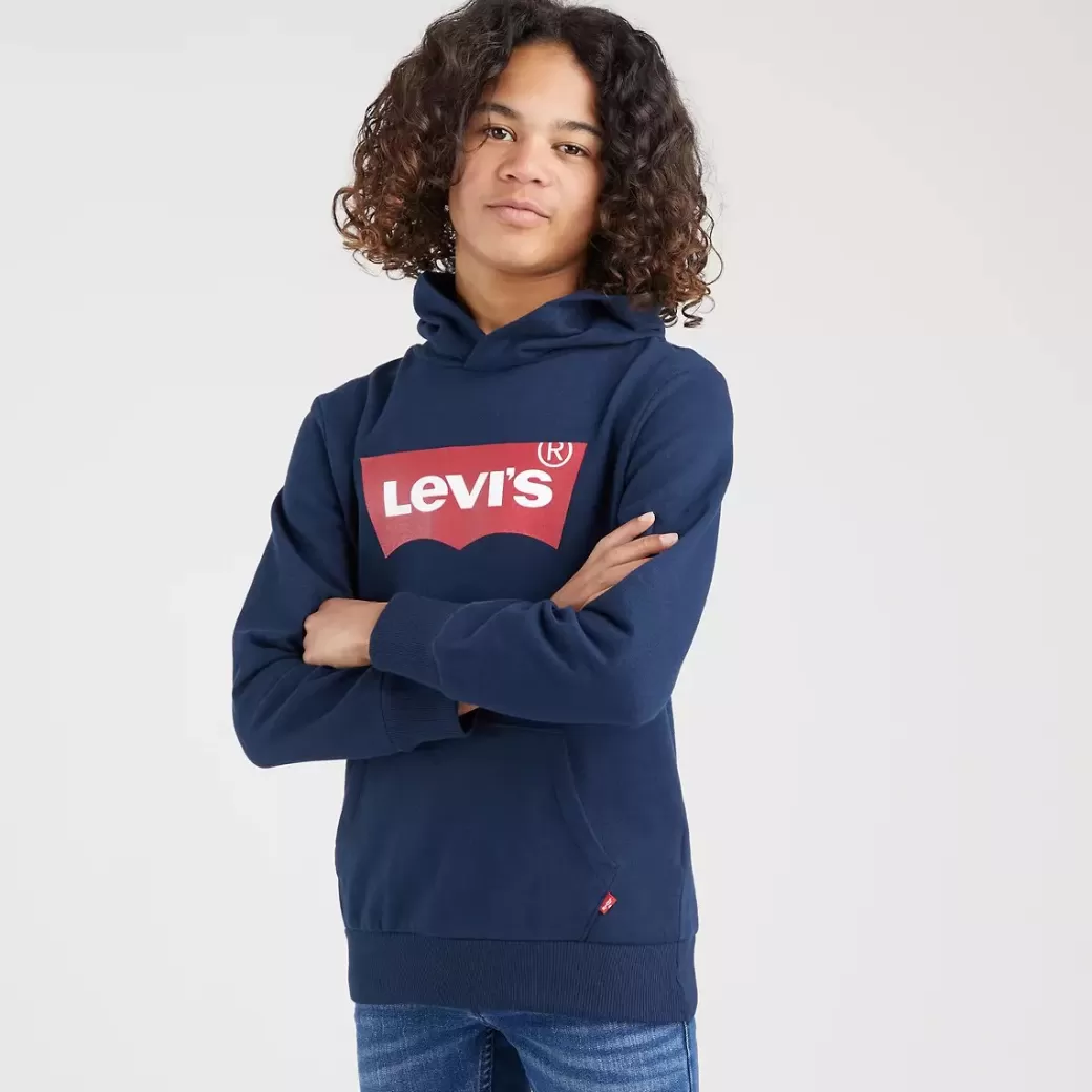 Levi's Batwing Screenprint Huvtroja For Tonåringar Best Sale