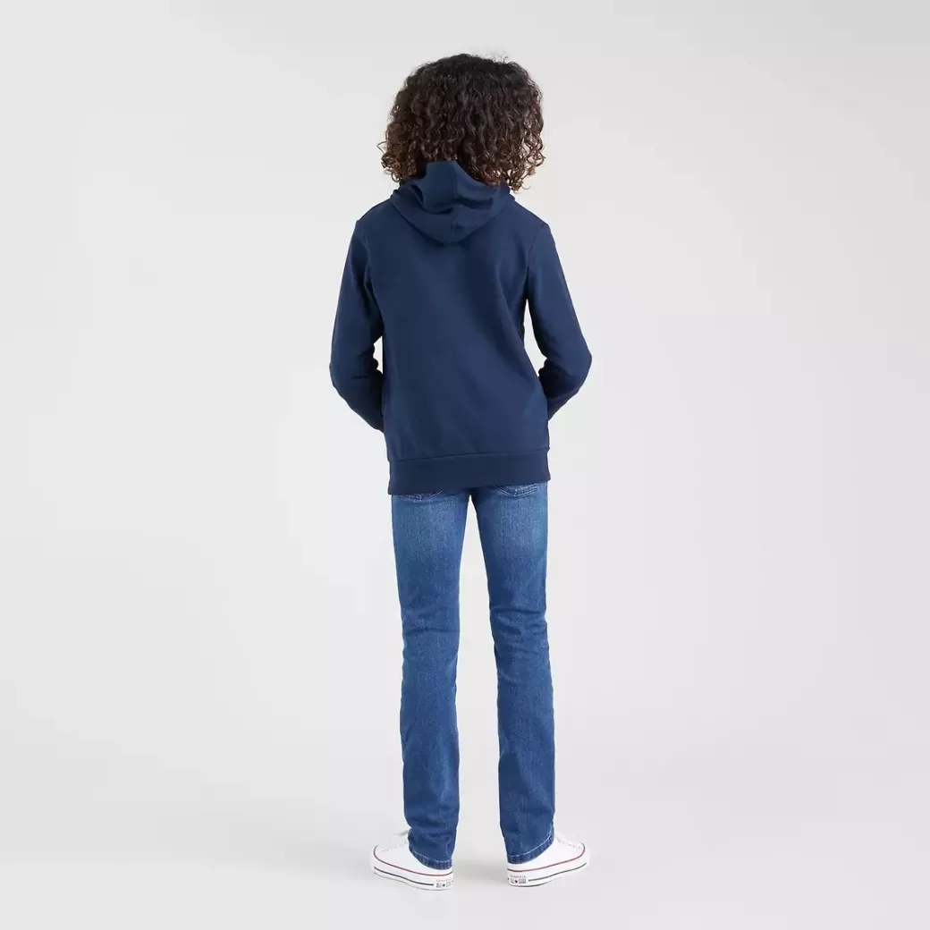 Levi's Batwing Screenprint Huvtroja For Tonåringar Best Sale