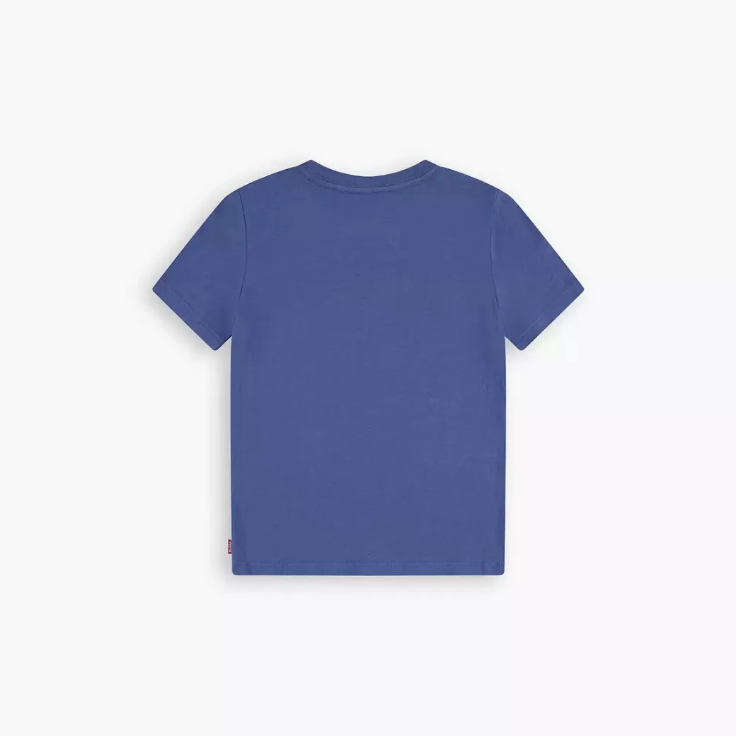 Levi's Ditsy Batwing T-Shirt For Barn Outlet