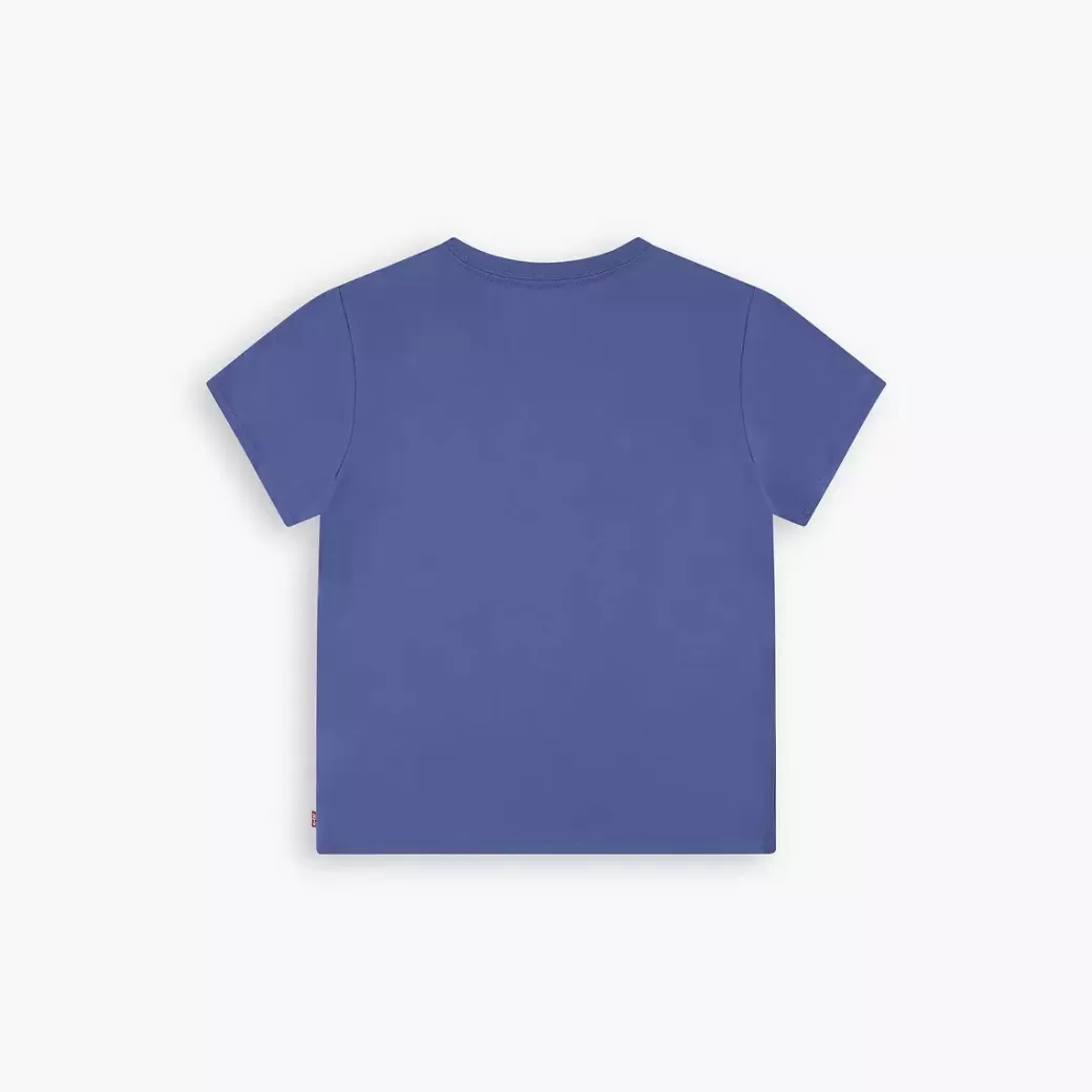 Levi's Ditsy Batwing T-Shirt For Tonåringar Flash Sale