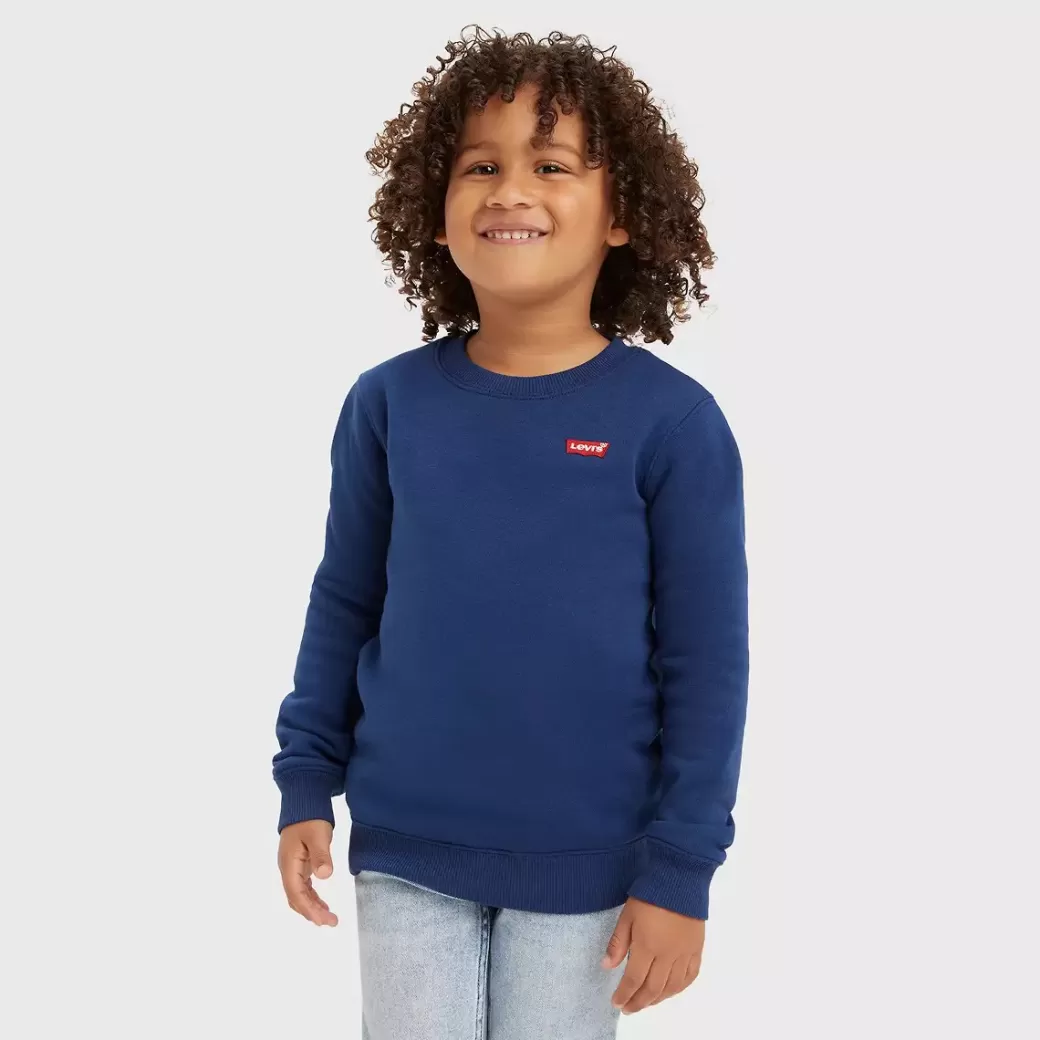 Levi's Kids Mini Logo Crewneck Sweatshirt Fashion